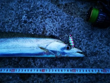 台風明けの強風でもなんとかね