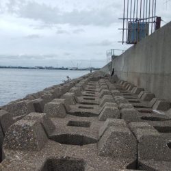 東二見西水道のキス情報