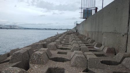 東二見西水道のキス情報