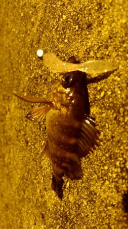 仕事終わりが満潮なので