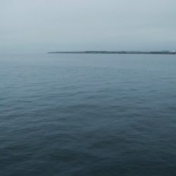 とりあえず今日もツバス