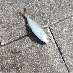 針先チェックは忘れずに！