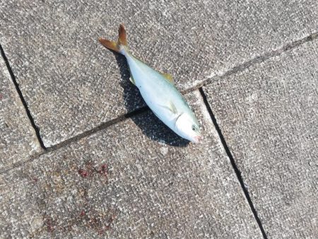 針先チェックは忘れずに！