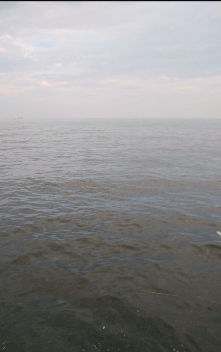 連日ツバッシング