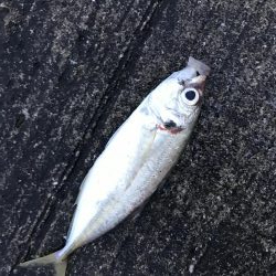 夏が近づいてきた