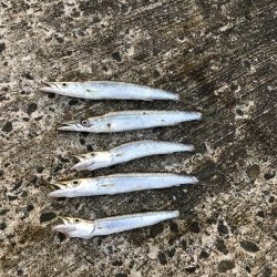 夏のライトショアジギング2