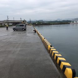 ガシラ7匹、コアジ匹、コサバ1匹