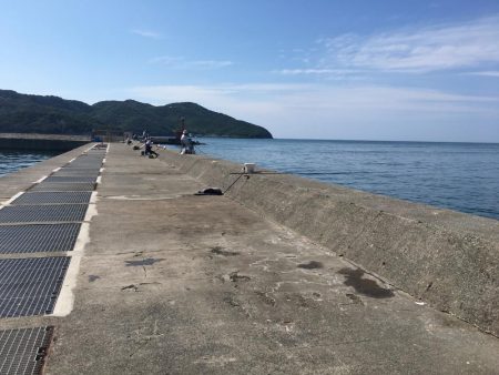 スズメダイ9匹、豆アジ1匹