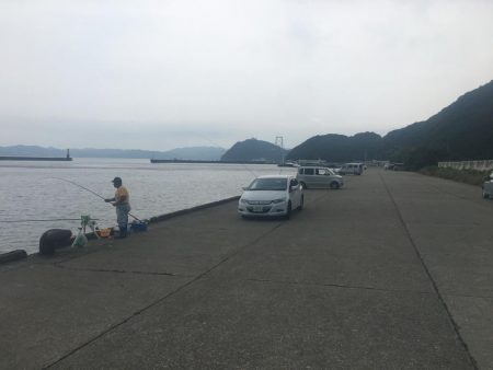 良型アジ、サヨリ、チャリコ等