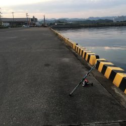 ダツ70㎝、ツバス2匹