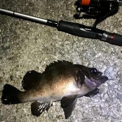 そろそろ終わりにしましょうか？