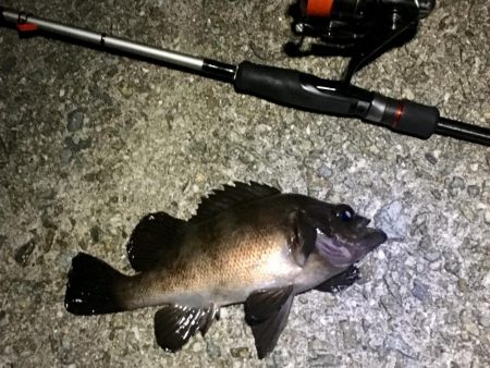 そろそろ終わりにしましょうか？