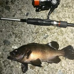 感動のフィナーレ！？