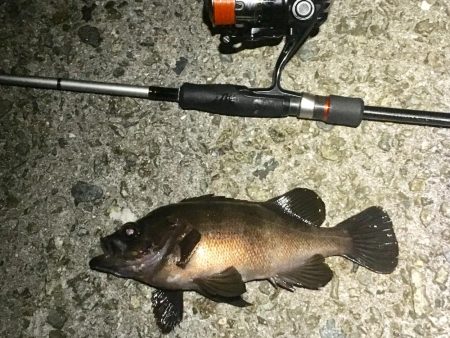 感動のフィナーレ！？