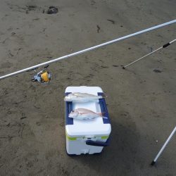 梅雨明けの五目釣り