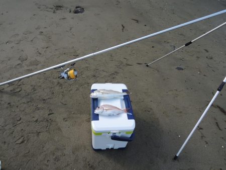 梅雨明けの五目釣り