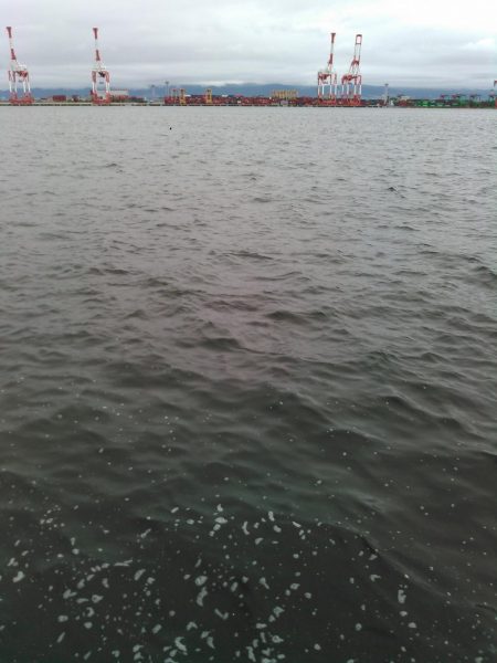 ライトショアジギング