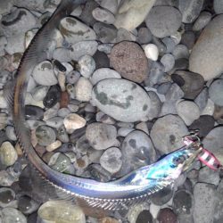 6番駐車場閉鎖されてる!