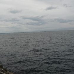 ギリボウズ逃れ＾＾；