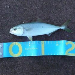 楽しい釣行でした