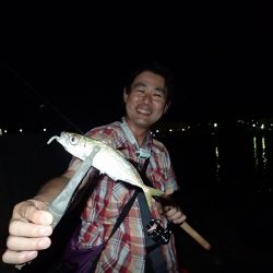 アジングのち豆アジング!