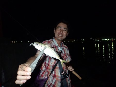 アジングのち豆アジング!