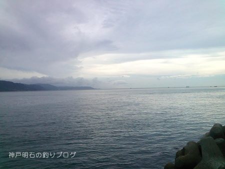 ダンゴ釣りとサバ狙い