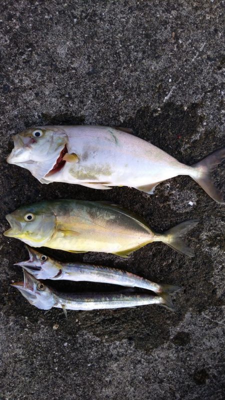 ダイソージグでネイリ