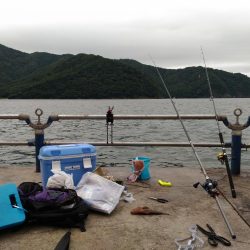 船釣りが出来なかったので舞鶴親海公園にて