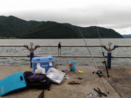 船釣りが出来なかったので舞鶴親海公園にて