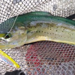 ショアジギ3目釣り