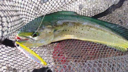 ショアジギ3目釣り