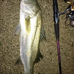 ずぶ濡れリベンジ！〜このままでは帰れない。