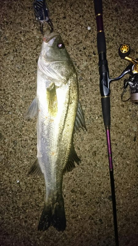 ずぶ濡れリベンジ！〜このままでは帰れない。