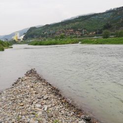 ミノーでお初シーバス