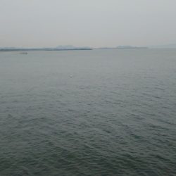 フラットフィッシュ狙いに！