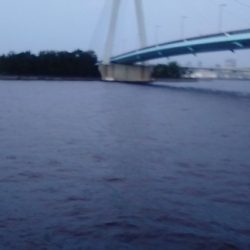 ダイソーワーム良く釣れます。