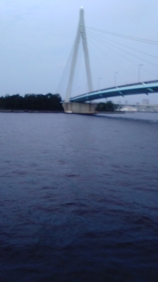 ダイソーワーム良く釣れます。