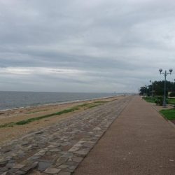 ２日連続でマゴチをゲット！