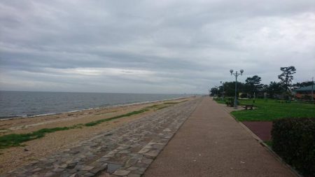 ２日連続でマゴチをゲット！