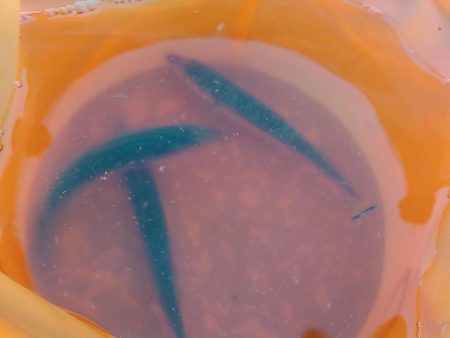 浜名湖 ライトゲーム