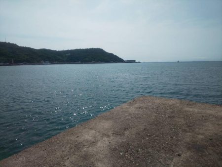 ソウダガツオからアジ