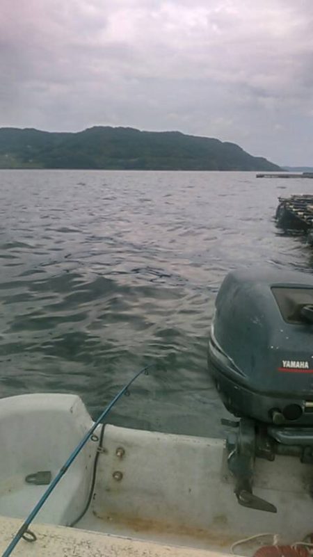 船サビキ釣りでアジサバ狙い