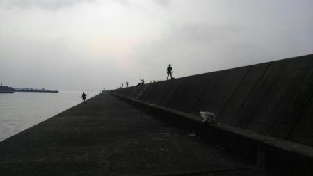 須磨一文字でのエレベーター仕掛け呑ませ釣り