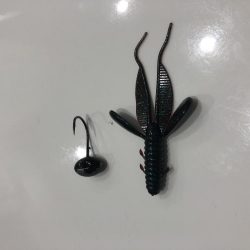 チニングでシーバス