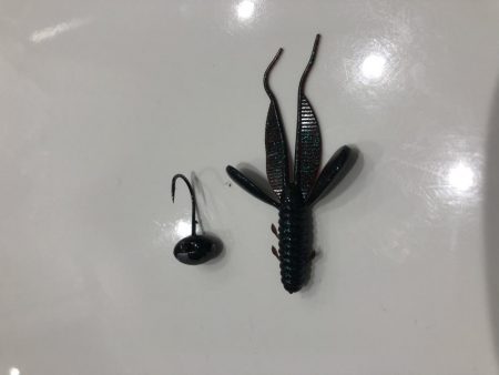 チニングでシーバス