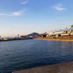 マリーナシティでジグサビキ威力発揮