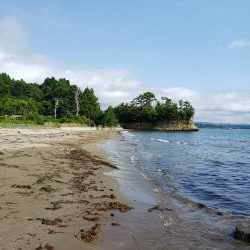 SUPフィッシング