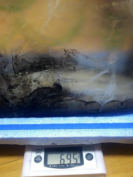 アオリイカまだ釣れます