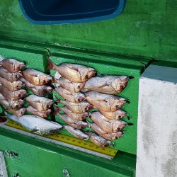 大量！良く引く日でしたっ！